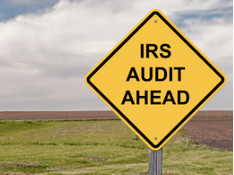 Will Your Small Business Be Audited?